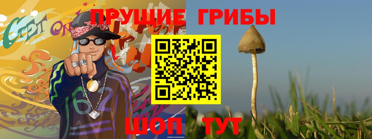 Псилоцибиновые грибы GOLDEN TEACHER Брянск