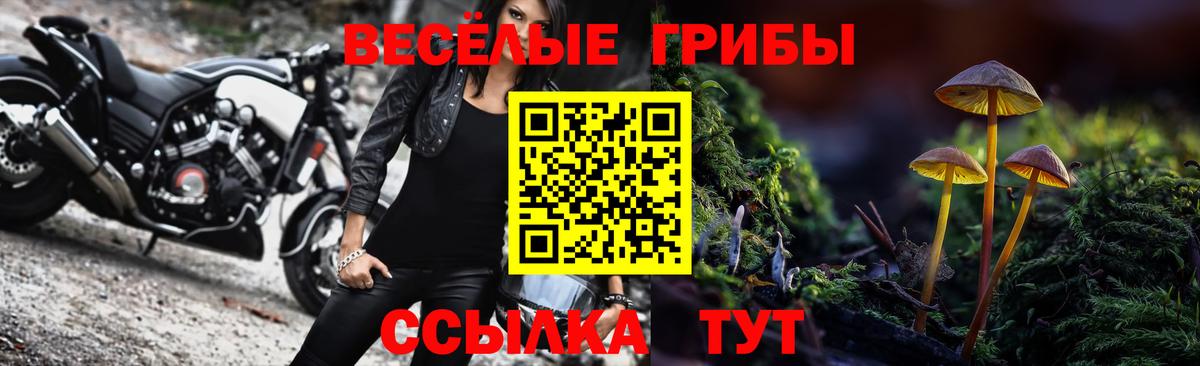 Брянск  Галлюциногенные грибы мухоморы  Вход с VPN 